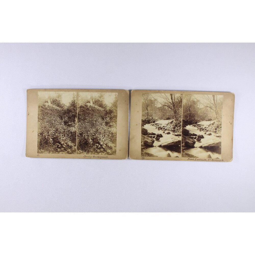 Antique photographic stereo cards set of 2, stereoscopic images of a forest,